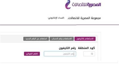 رابط الاستعلام عن فاتورة التليفون الأرضي لشهر إبريل 2021 