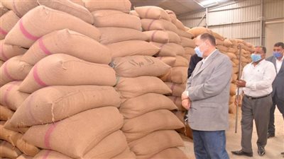 محافظ أسيوط: توريد 3329 طن قمح وحصاد 8 آلاف فدان