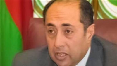 الجامعة العربية: لن تعرف ليبيا الاستقرار بدون خروج المرتزقة والقوات الأجنبية