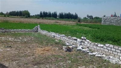 إزالة 5 حالات تعدٍّ على الأراضي الزراعية بالبحيرة