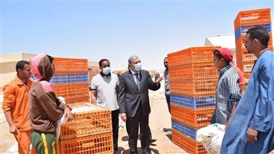  محافظ المنيا يتابع أعمال الإصلاح ببرك الأكسدة بالمنطقة الصناعية