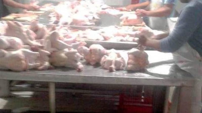 دجاج مجهول المصدر