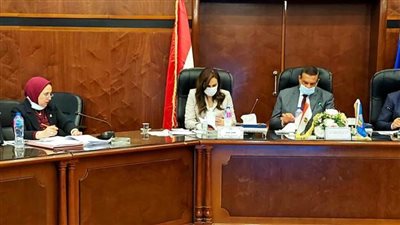 الموافقة على إقامة 13 مشروعا استثماريا بتكلفة 263 مليون جنيه بالبحيرة