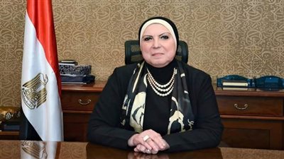 وزيرة الصناعة: نهدف لتحديث القطاع لتوطين وتعميق الصناعة