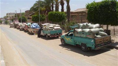 منذ فتح الباب.. توريد 22 ألف طن قمح بالمنيا
