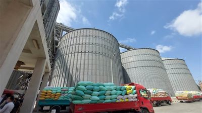 محافظ البحيرة: توريد ٢٦٤٦٠.٣٣٩ طن قمح للصوامع والشون