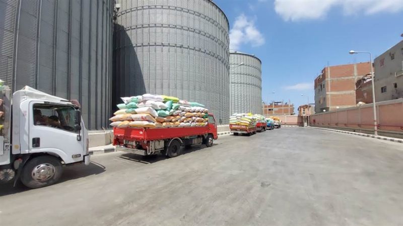 توريد القمح بالبحيرة