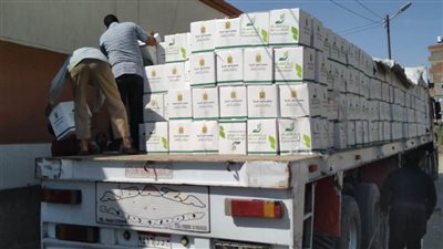 توزيع 20 ألف كرتونة مواد غذائية من بنك الطعام بقرى البحيرة