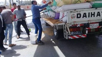 تموين كفر الشيخ: استلام الأقماح المحلية خلال الموسم الحالي يتم من خلال 20 موقعا تابعا للجهات المسوقة