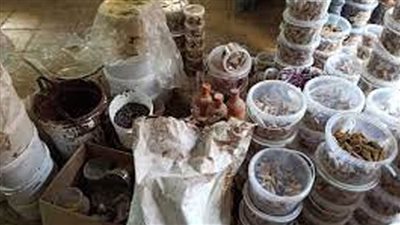 التحفظ علي 100 ألف قطعة حلوى وعسل غير صالح للاستخدام الآدمي داخل مصنع بدون ترخيص بالإسكندرية