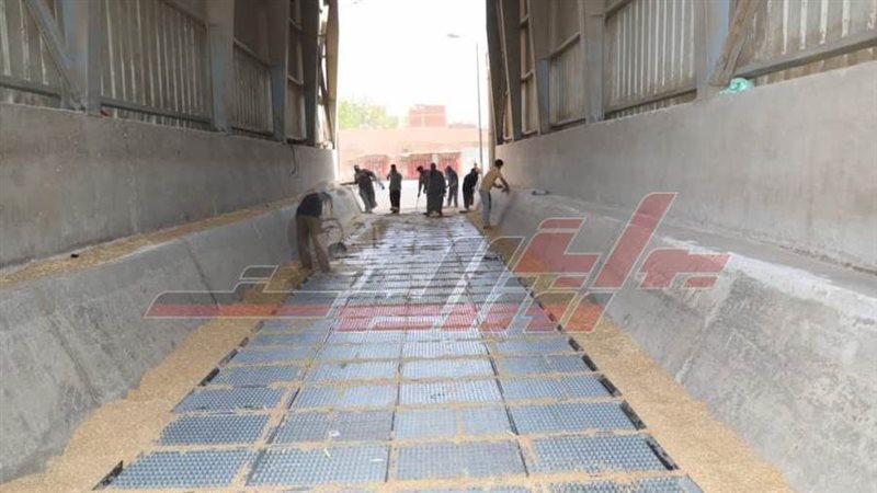 استمرار عمليات توريد