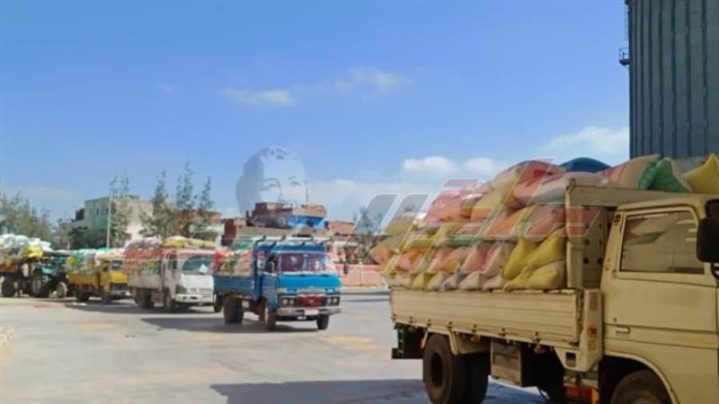 توريد القمح