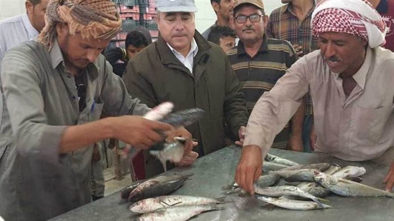 الأسماك بأسعار مناسبة