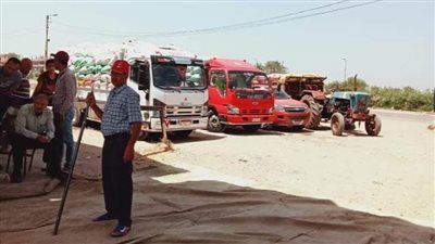 توريد أكثر من 46 طن قمح للشون والصوامع بمدن ومراكز البحيرة