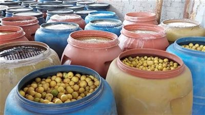 التحفظ علي 5 طن مخللات فاسدة قبل ترويجها بالاسواق في الإسكندرية