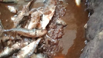 ضبط سردين منتهي الصلاحية في حملة بدمنهور