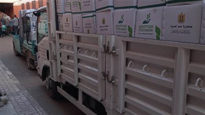 محافظ البحيرة يشيد بجهود التضامن وبنك الطعام في دعم الأسر الأولى بالرعاية 