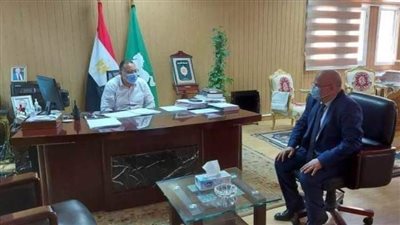 2 مليار جنيه لتحسين الطاقة الكهربائية بمحافظة الشرقية 