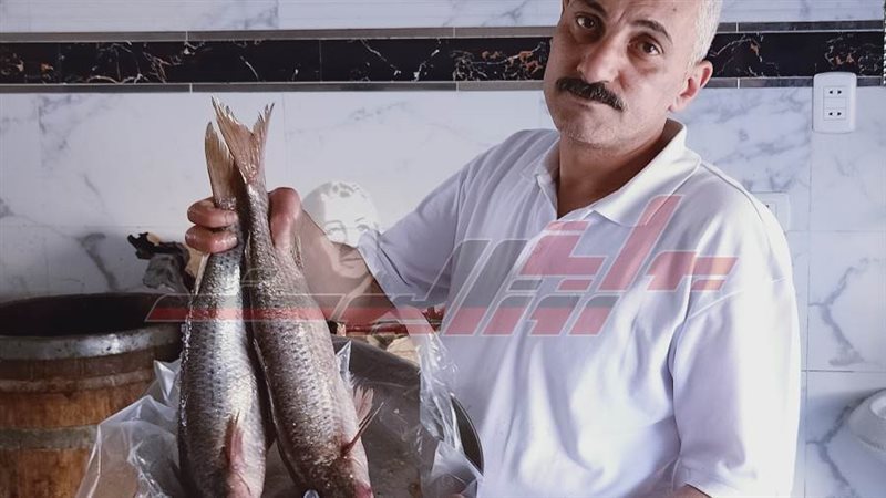 أحمد اليماني