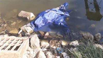 تعرف على تفاصيل انتحار مسنة بأبوالنمرس 