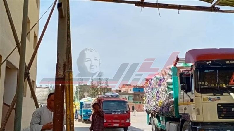 توريد القمح