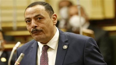 أشرف أمين: قرارات الحكومة للسيطرة على أزمة كورونا 