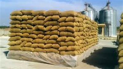 توريد أكثر من 47 ألف طن قمح لشون وصوامع الإسكندرية