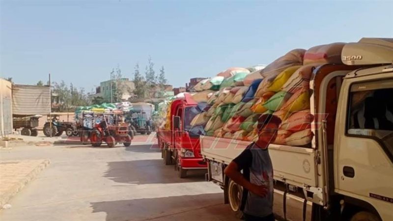 شون وصوامع كفرالشيخ