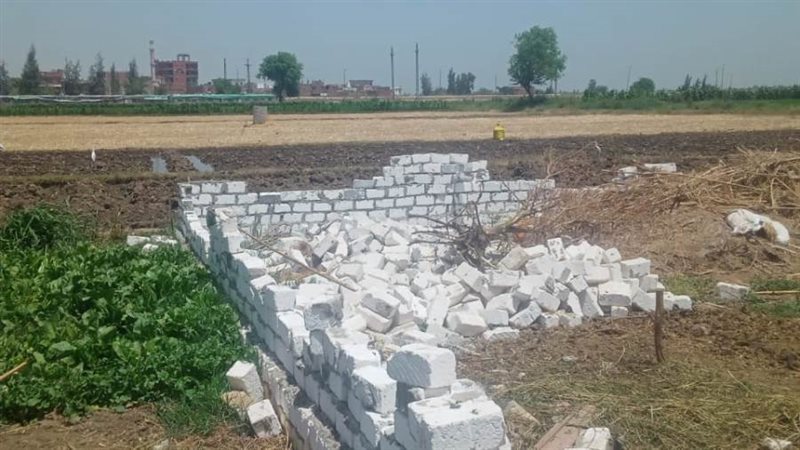 إزالة التعديات على