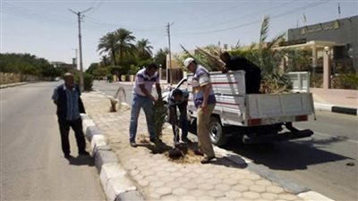 الوحدة المحلية لمركز الخارجة تواصل أعمال النظافة والتشجير بأحياء محافظة الوادي الجديد