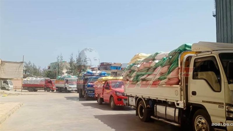 توريد الأقماح