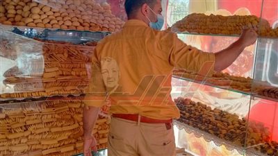 المرور على 184 منشأة مختلفة بكفر الشيخ 