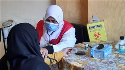 60 ألف جنيه تكلفة دعم مبادرة 