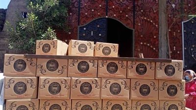 جامعة طنطا توزع 300 كرتونة مواد غذائية ضمن المبادرة الرئاسية 