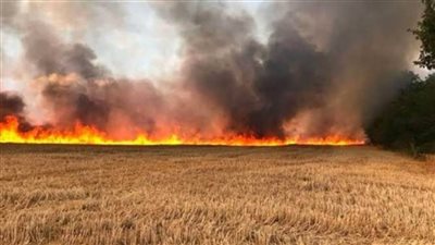 الحماية المدنية بسوهاج تسيطر على حريق نشب في زراعات القمح