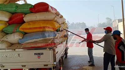  غرفة عمليات مركزية لمتابعة توريد الأقماح بكفر الشيخ