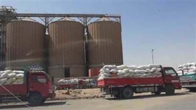  استلام  100 ألف و268 طن قمح ببني سويف 