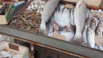 طوارئ بتموين الإسكندرية لاستقبال عيد الفطر المبارك