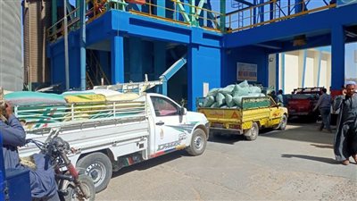 شون وصوامع المنيا تستقبل 110 آلاف طن من الأقماح