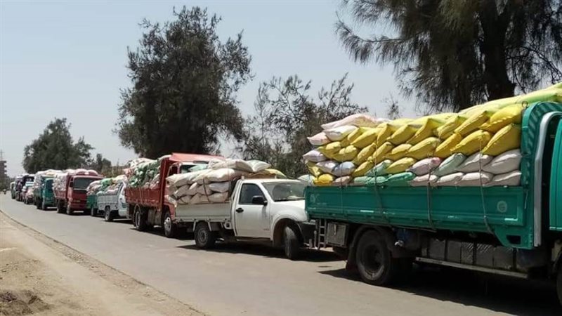 توريد القمح للصوامع