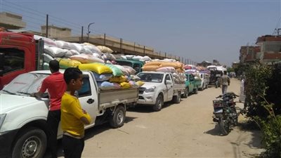 صوامع محافظة البحيرة تستقبل توريد 159 طن قمح