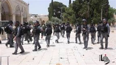 أحزاب وشخصيات سياسية هولندية تستنكر الاعتداءات الإسرائيلية ضد أهالي القدس