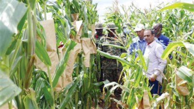 9 مزارع مصرية بإفريقيا