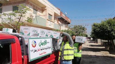 توزيع 600 كرتونة مواد على الأسر الأولى بالرعاية بالبحيرة