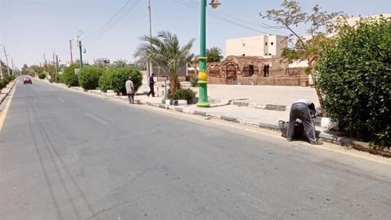 تشجير واناررة لشارع