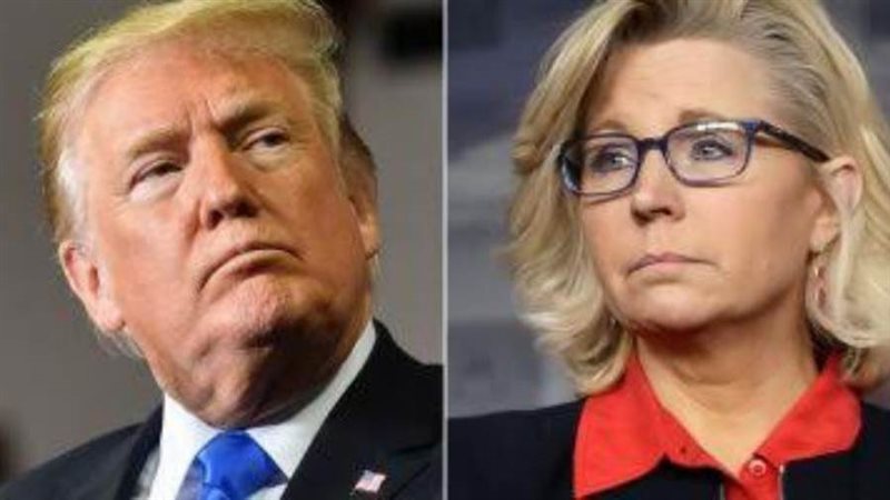 ليزا وترامب