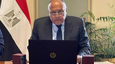 وزير الخارجية يبحث مع نظيره التونسي التحرك العربي في مجلس الأمن