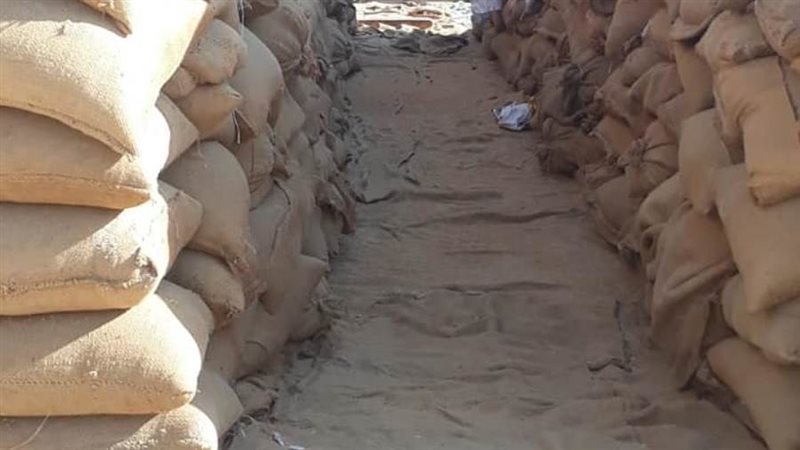 توريد القمح