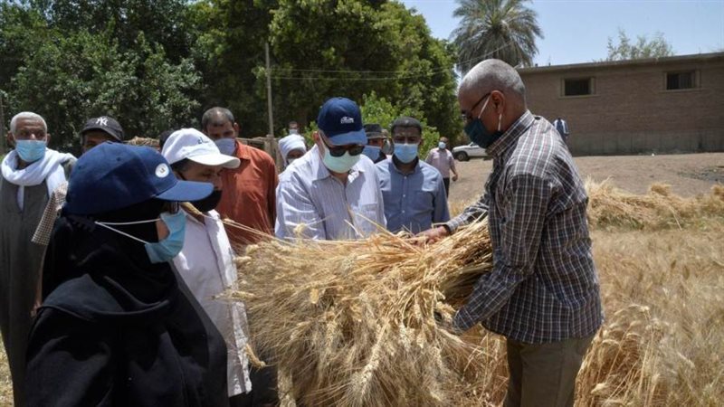 المحافظ يتابع اعمال