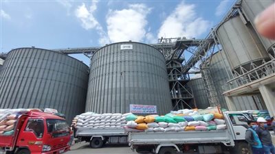 محافظ البحيرة: تقديم كافة التسهيلات للمزارعين أثناء عملية توريد القمح